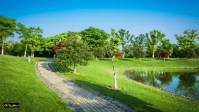 أفضل أماكن طبيعية في دولة الجزائر