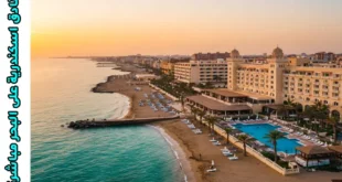 أفضل فنادق اسكندرية على البحر مباشرة