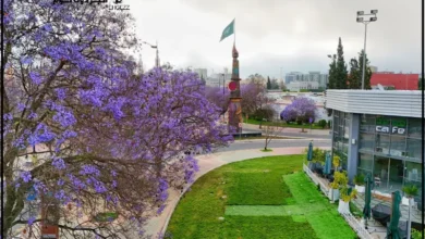 اماكن حلوه في أبها للعوائل