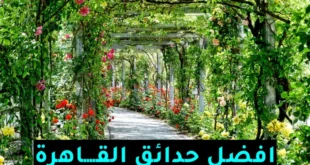حدائق القاهرة