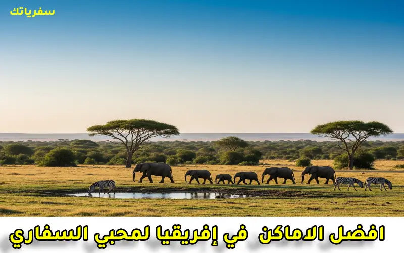 افضل الاماكن السياحية في إفريقيا لمحبي السفاري والحياة البرية