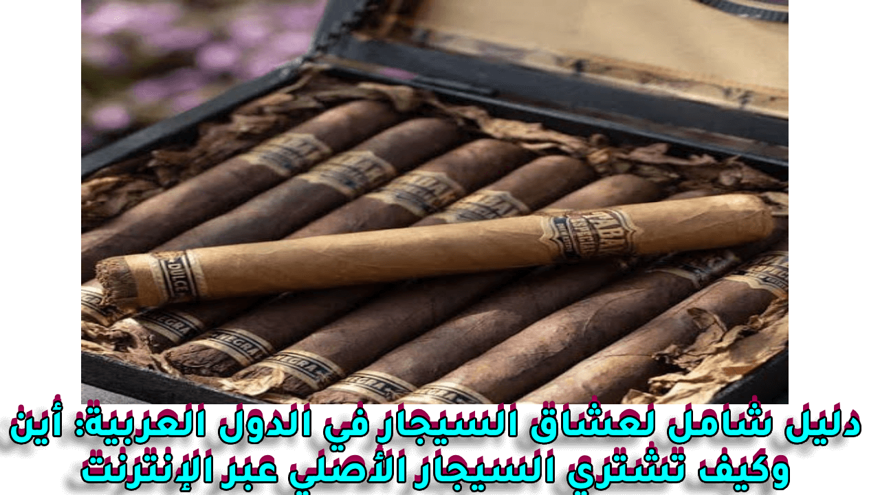 دليل شامل لعشاق السيجار في الدول العربية: أين وكيف تشتري السيجار الأصلي عبر الإنترنت في الكويت وقطر بسهولة عبر MrCigarShop.