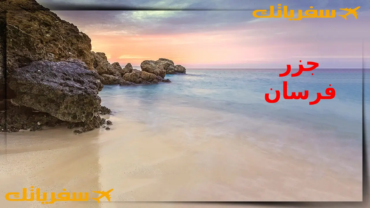 أين أجد أحلى مناظر طبيعية في السعودية كاملة؟ أفضل 21 مكان جزر فرسان من اماكن حلوة بالمملكة