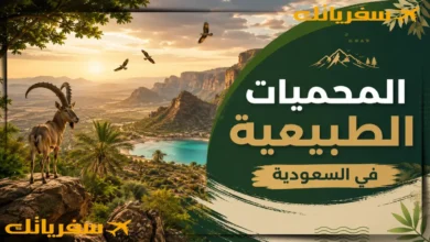 المحميات الطبيعية في السعودية | كنوز ساحرة تستحق الزيارة المحميات الطبيعية في السعودية