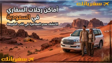 أماكن رحلات السفاري في السعودية: وجهات ساحرة لعشاق المغامرة أماكن رحلات السفاري في السعودية